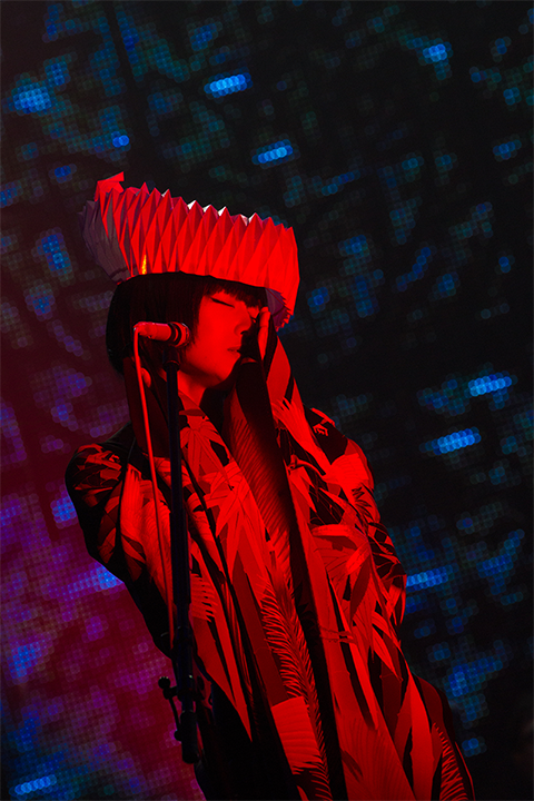 椎名林檎と彼奴等がゆく 百鬼夜行2015 | ライブ写真 | SR猫柳本線