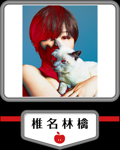 SR猫柳本線ポケット SR猫柳本線ポケット