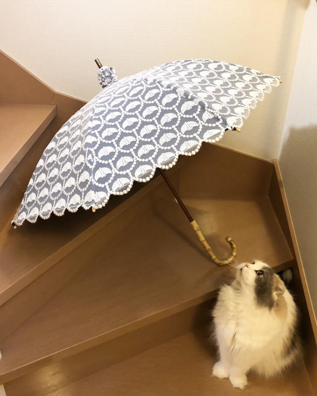Amazon.co.jp: 椎名林檎グッズ ラマ傘 番傘 : おもちゃ